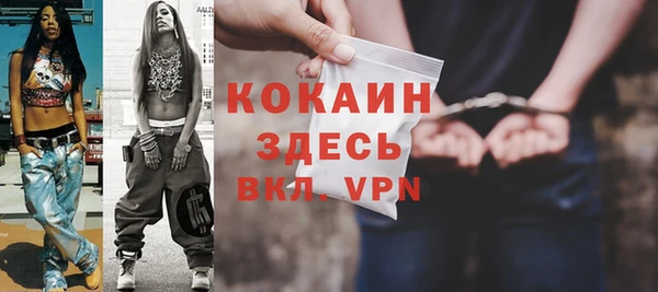 сатива Болохово