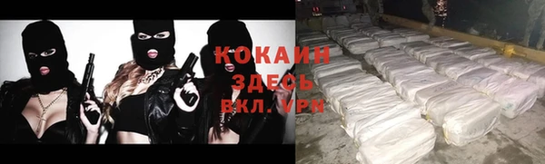 стафф Болотное