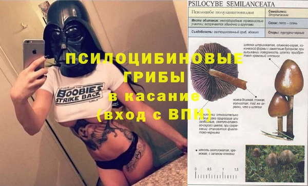 эйфоретик Россошь
