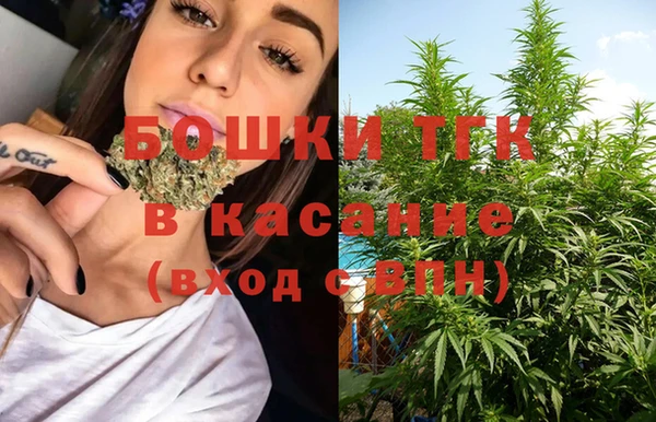 сатива Болохово
