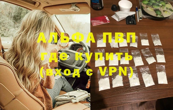 сатива Болохово