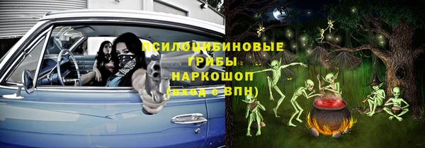 сатива Болохово