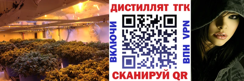 Дистиллят ТГК гашишное масло  где купить   Геленджик 