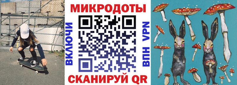 Галлюциногенные грибы Psilocybe  Геленджик 